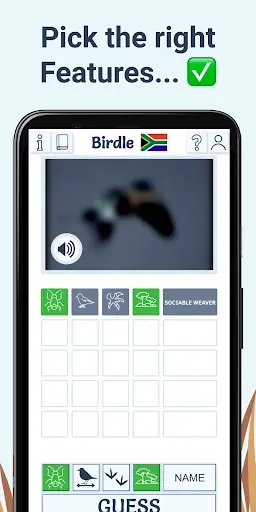 Скриншот 4 — Birdle - A Daily Guessing Game