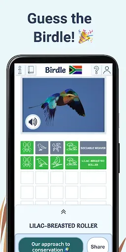 Скриншот 5 — Birdle - A Daily Guessing Game