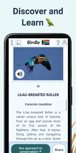 Скриншот 6 — Birdle - A Daily Guessing Game