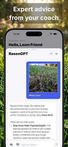 Скриншот 3 — LawnCoach