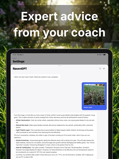 Скриншот 8 — LawnCoach