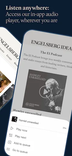 Скриншот 3 — Engelsberg Ideas