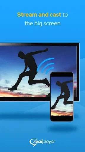 Скриншот 2 — RealPlayer