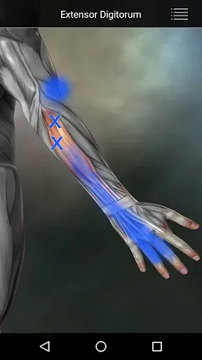 Скриншот 4 — Muscle Trigger Point Anatomy