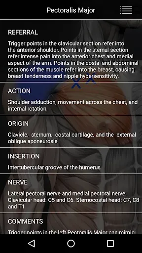 Скриншот 5 — Muscle Trigger Point Anatomy