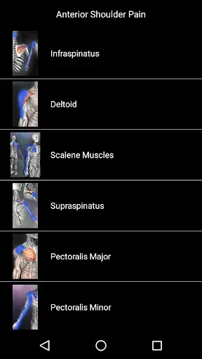 Скриншот 7 — Muscle Trigger Point Anatomy