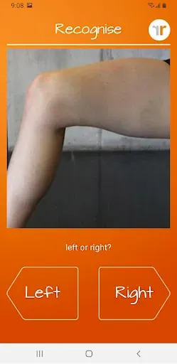 Скриншот 7 — Recognise Knee