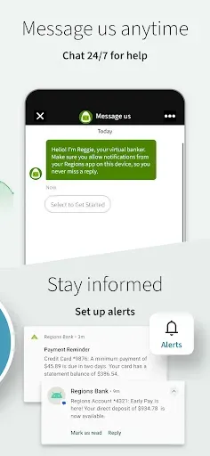 Скриншот 7 — Regions Bank