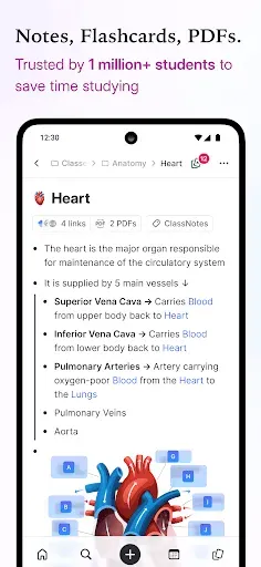 Скриншот 1 — RemNote - Notes & Flashcards