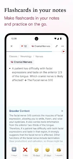 Скриншот 3 — RemNote - Notes & Flashcards