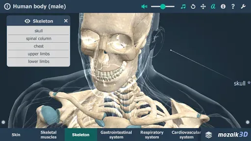 Скриншот 2 — Human body (male) 3D scene