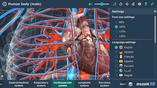 Скриншот 4 — Human body (male) 3D scene