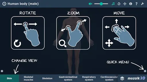 Скриншот 6 — Human body (male) 3D scene