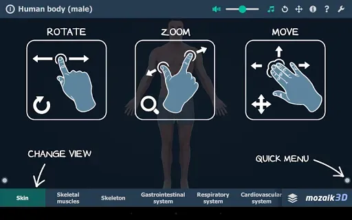 Скриншот 7 — Human body (male) 3D scene