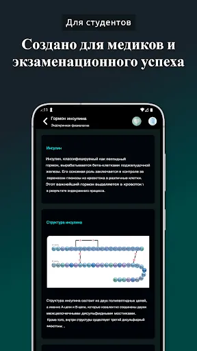 Скриншот 8 — Краткая Физиология | Человек