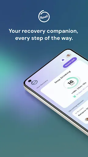 Скриншот 1 — Reset Recovery