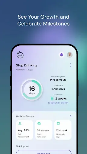 Скриншот 3 — Reset Recovery