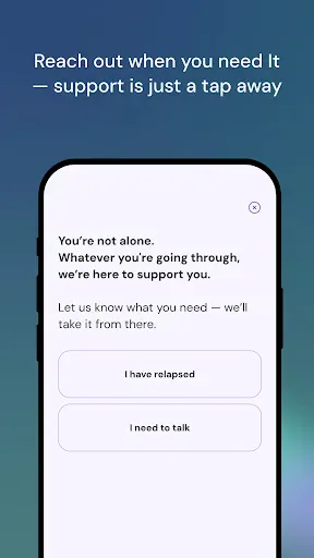 Скриншот 6 — Reset Recovery