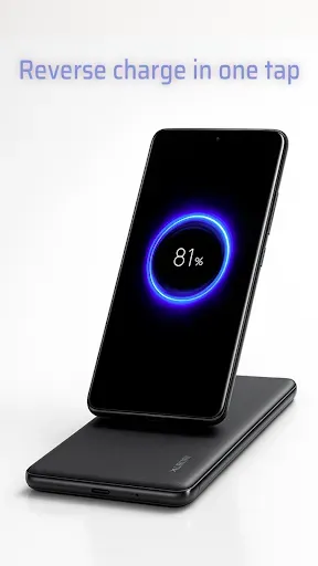 Скриншот 3 — Wireless Reverse Charging