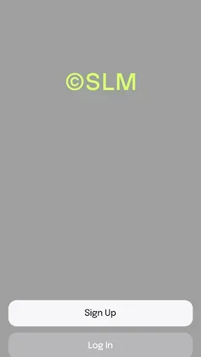 Скриншот 1 — SLM