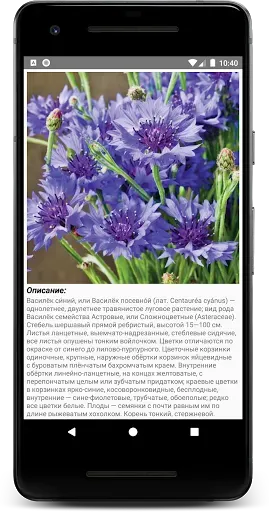 Скриншот 3 — Травник: Народная медицина