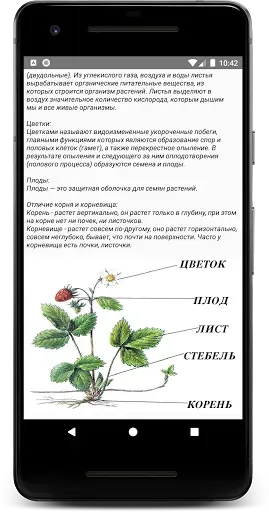 Скриншот 4 — Травник: Народная медицина