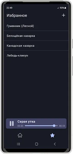 Скриншот 2 — Голоса Птиц