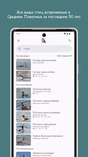 Скриншот 1 — Птицы Средней Волги