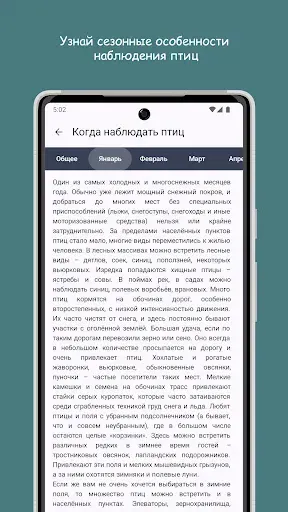 Скриншот 4 — Птицы Средней Волги