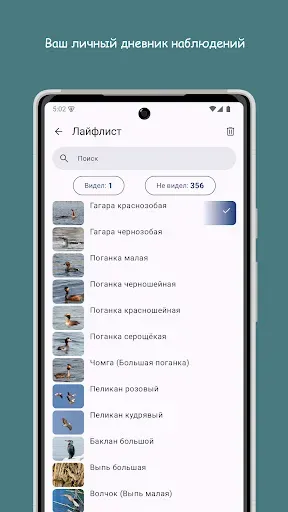 Скриншот 5 — Птицы Средней Волги