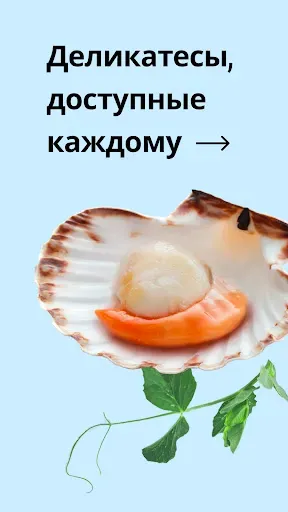 Скриншот 1 — Деликатеска доставка продуктов