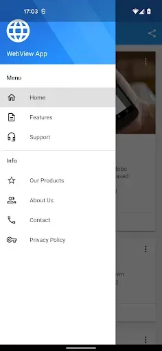 Скриншот 2 — WebView App