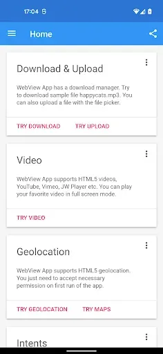 Скриншот 3 — WebView App