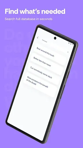 Скриншот 8 — Learn Idioms and Phrasal Verbs