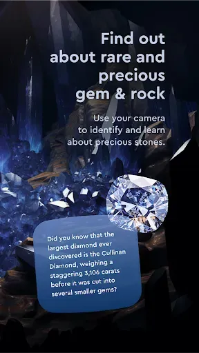 Скриншот 8 — Rock Scanner -Stone Identifier