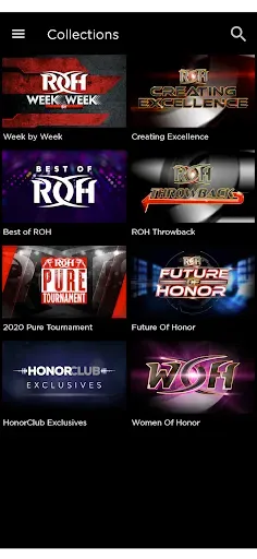 Скриншот 1 — Ring of Honor