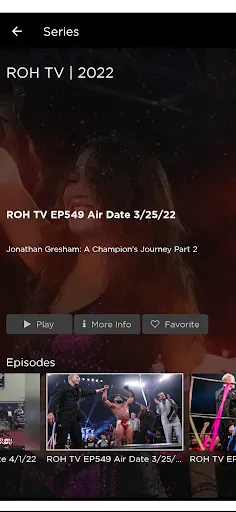 Скриншот 2 — Ring of Honor