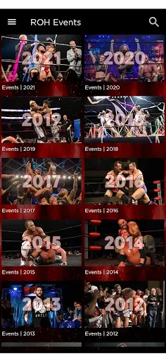 Скриншот 5 — Ring of Honor