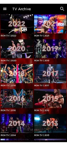 Скриншот 6 — Ring of Honor