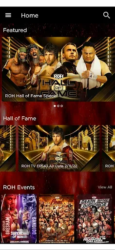 Скриншот 7 — Ring of Honor