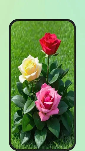 Скриншот 2 — Rose Flower Images