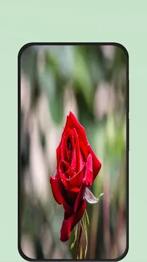 Скриншот 1 — Rose Flower Pic