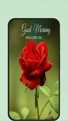 Скриншот 5 — Rose Flower Pic