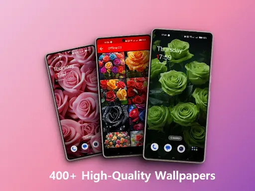 Скриншот 2 — Rose flower wallpapers offline