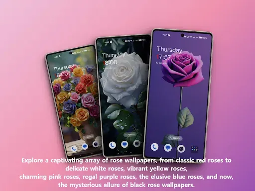 Скриншот 5 — Rose flower wallpapers offline