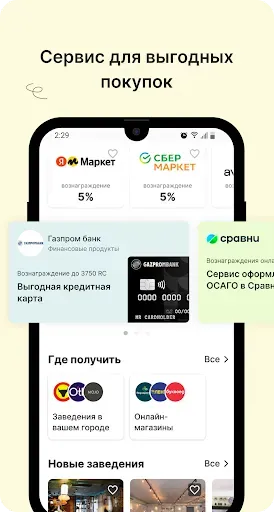 Скриншот 1 — RC PAY