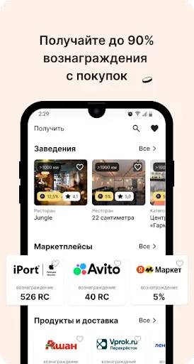 Скриншот 2 — RC PAY