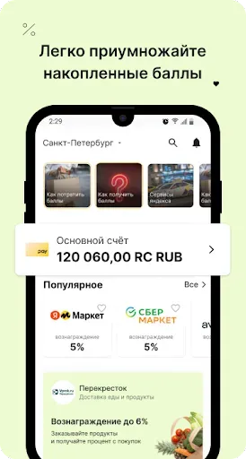 Скриншот 3 — RC PAY