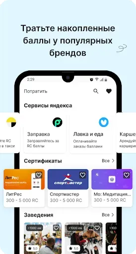 Скриншот 4 — RC PAY
