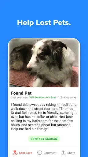 Скриншот 1 — Pawscout